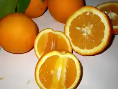 Naranja grano de oro Puebla de Soto (Murcia)