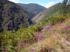 DSCN1503 DSCN1503