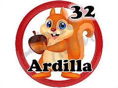 ardilla