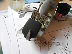 DSCN4384 DSCN4384