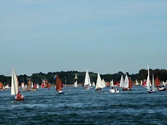 IMG_2727 (Copier) IMG_2727 (Copier)
