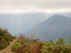 IMG_4748 IMG_4748