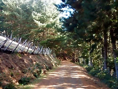 DSCN9178 DSCN9178