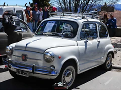 CAS_4037 CAS_4037