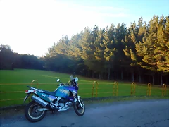 DSCN8971 DSCN8971