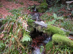 DSCN0692 DSCN0692