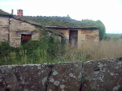 DSCN5319 DSCN5319