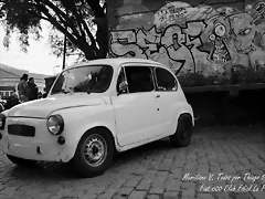 DSC_0436 DSC_0436