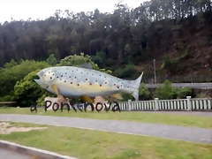 DSCN3429 DSCN3429