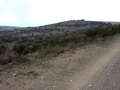 8a