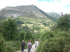 DSCN4356 DSCN4356