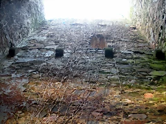 DSCN2818 DSCN2818