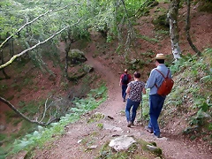 DSCN3891 DSCN3891