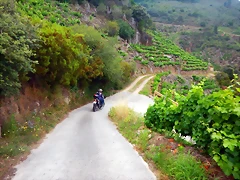 DSCN6234 DSCN6234