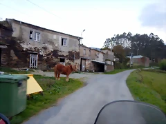 DSCN9661 DSCN9661