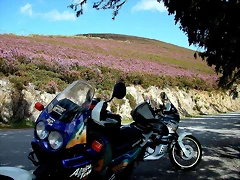 DSCN9043 DSCN9043