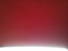 IMAG0531 IMAG0531