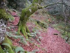 DSCN0699 DSCN0699
