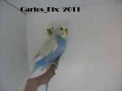 los papis 21-6-2011