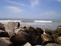 PB140862 PB140862
