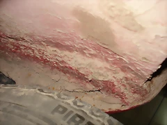 DSC03430