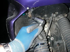 DSCN4729 DSCN4729