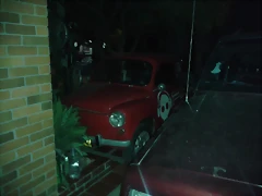 FITO 8