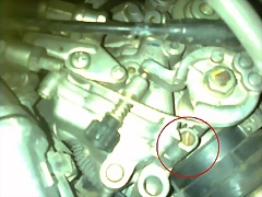 Imatge0389