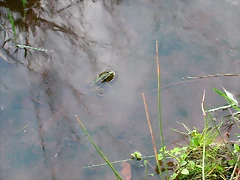 DSCN5285 DSCN5285