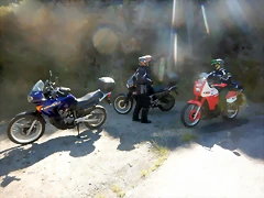 DSCN7987 DSCN7987