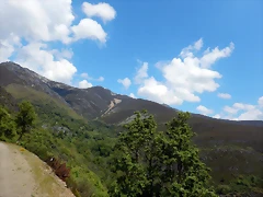 DSCN1114 DSCN1114