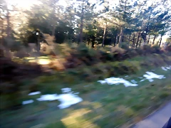 DSCN2591 DSCN2591