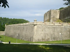 DSC02094