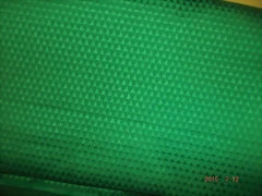 DSCF0552