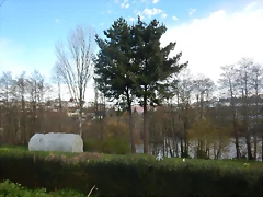 DSCN9328 DSCN9328