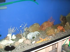 DSCF1319 DSCF1319