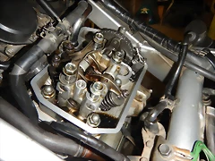 DSCN9393 DSCN9393