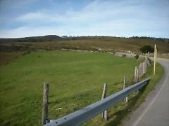 DSCN9240 DSCN9240