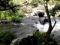 DSCN2826 DSCN2826