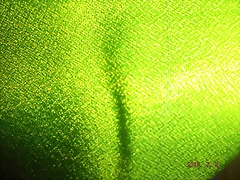 DSCF0554