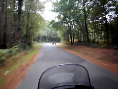 DSCN9377.jpeg DSCN9377.jpeg