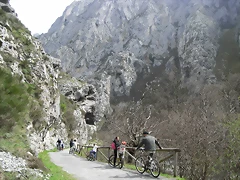 R0012334 R0012334