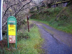 DSCN8316