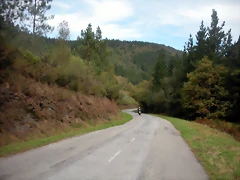 DSCN9285 DSCN9285