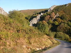 DSCN7943 DSCN7943