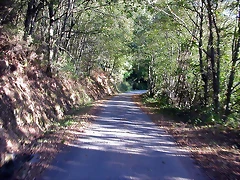 DSCN7938 DSCN7938