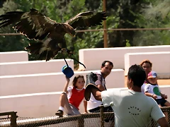Zoo Barcelona, Faunia y Safari Madrid 1379