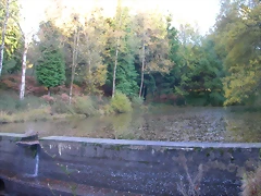 DSCN9924 DSCN9924