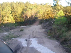 DSCN9939 DSCN9939