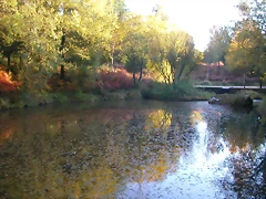 DSCN9929 DSCN9929